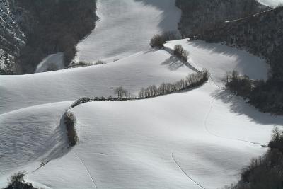 Winter Atmosphere