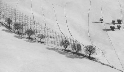 u49/giorgiopieroni/medium/40982509.15.jpg