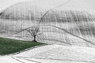 Graphic Snow