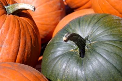 IMG_3913b.jpg