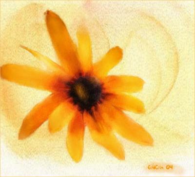 u49/goldcoin/medium/35809599.yellowfloweratercolorfinal.jpg