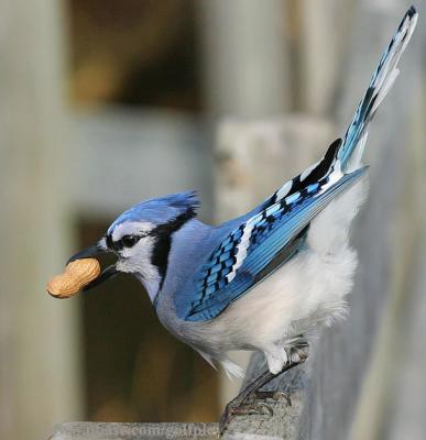 Getting ready to take off