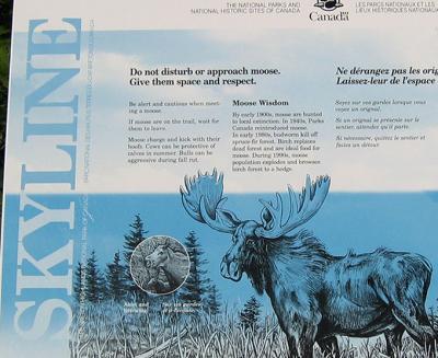 About Moose sign on Skyline Trail
