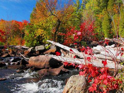 Torrent of Colour