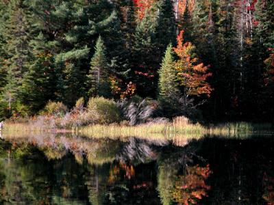 Like a Painting
