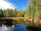 Trestle Pond