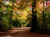 Gentle Bend