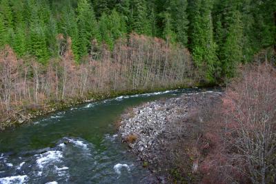 clackamas river.jpg