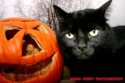 ::Happy Halloween::