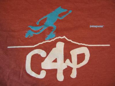 Patagonia Capilene LW T-Shirt