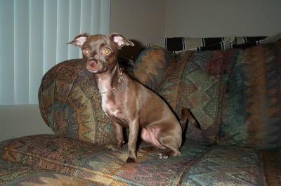Gypsy 39wks 1 day