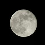 Moom 02.jpg