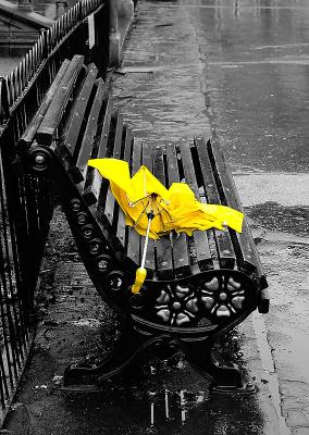 65 The Yellow Brolly.