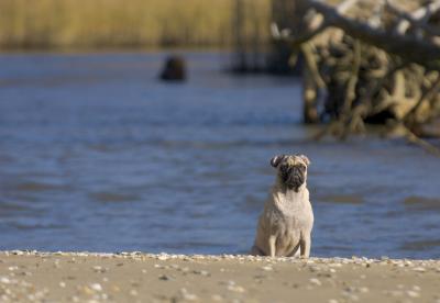 CRW_0674.jpg