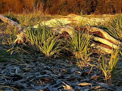 P1110846_1.JPG