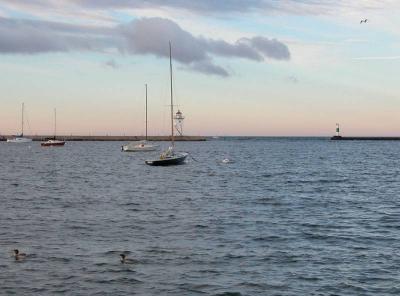 Early Evening at the Harbor