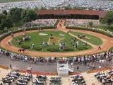 Canterbury Park