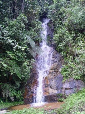 Waterfall in Podocarpus N.P.