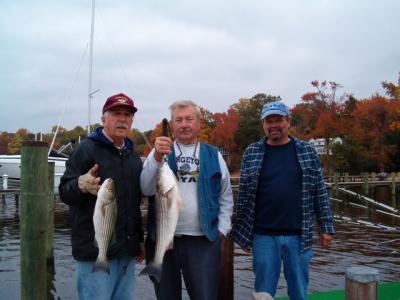 Ed Sien & Fred Lohn.caught these Rockfish while fishing with Frank Slingleton