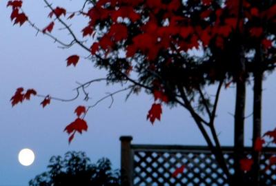 Autumn moon