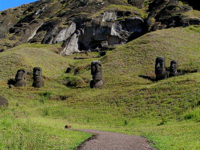Many unfinished moai