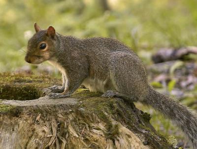 DSC_3651.jpg