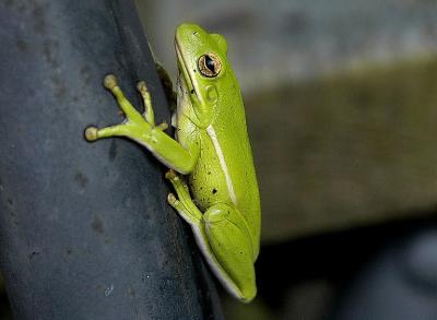 DSC_6638.jpg