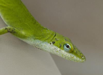 DSC_6737.jpg