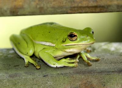 DSC_6647.jpg