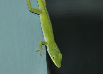 DSC_6651.jpg