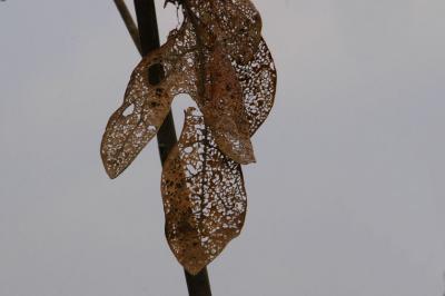 DSC_6498.jpg