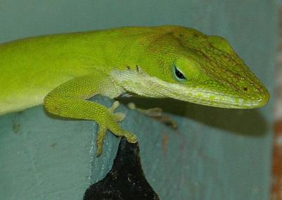 DSC_6659.jpg