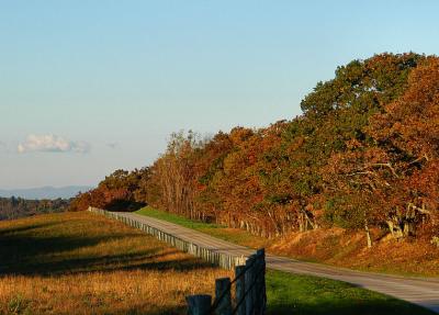 DSC_7066.jpg