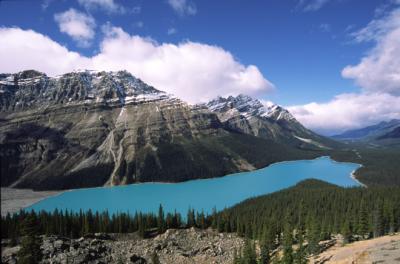 u49/ignacioc/medium/34945035.PeytoLake.jpg