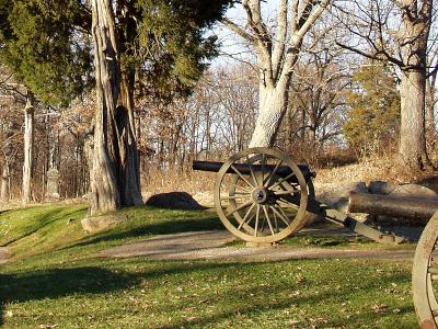 Tree and Cannon Crop