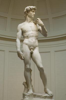 Statue Of David totally unauthorized.jpg