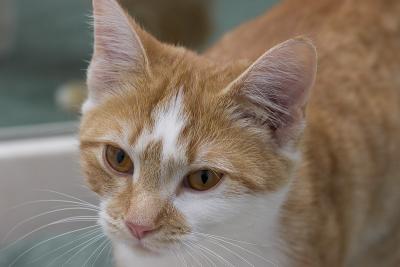 CRW_9539.jpg