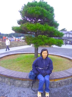 027 matsushima.jpg