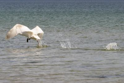 CRW_3624.jpg