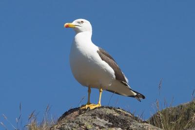 CRW_5064.jpg