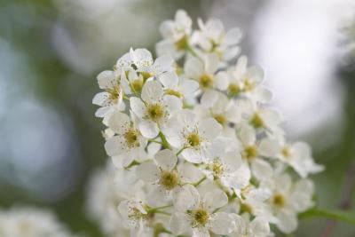 CRW_0543.jpg