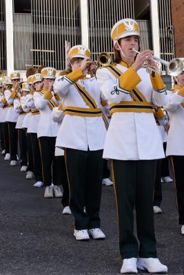 Irish2005Parade003.JPG