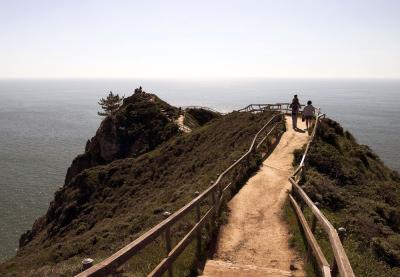 Trail to end of Muir Beach Overlook