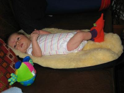 u49/james_darwin/medium/40795431.IMG_3620_2_1.jpg