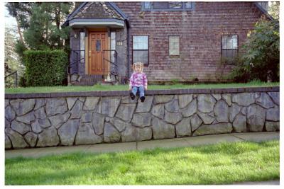 Scanned Picture330287.jpg