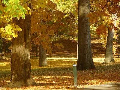 The New York Botanical Garden in Late October