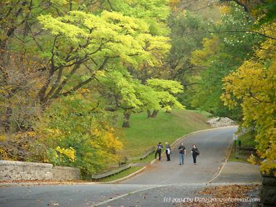 The New York Botanical Garden in Late October