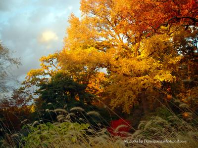The New York Botanical Garden in Late October