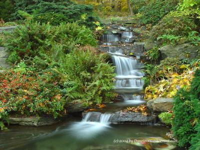 The New York Botanical Garden in Late October