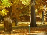 The New York Botanical Garden in Late October